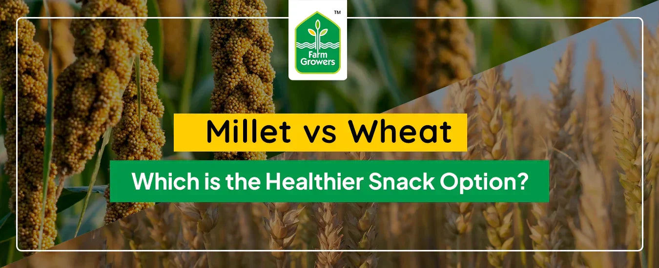 Millet vs. Wheat: Which is the Healthier Snack Option?