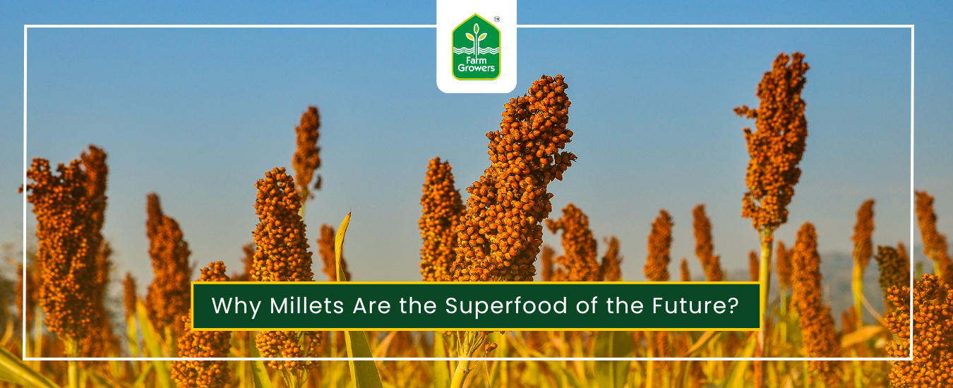 Why Millets Are the Superfood of the Future?